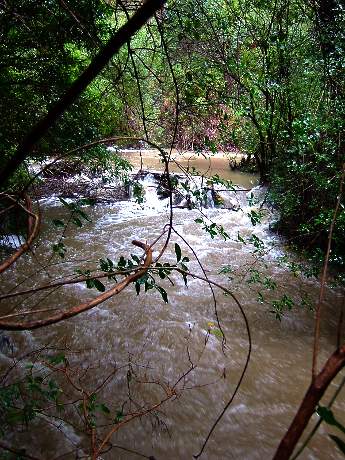 Swimming hole