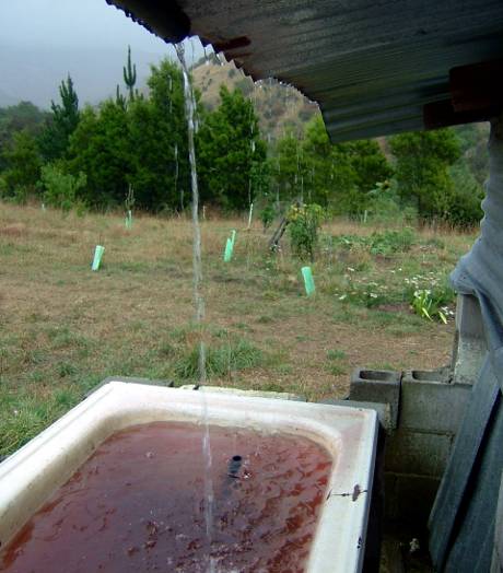 Catching rainwater in old bath